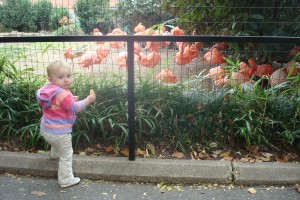 A Girl and Her Croissant Meet the Flamingoes